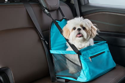 Transportadoras. Especiales para perros pequeños y fundamentales para llevar gatos