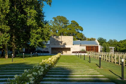 Trapiche Costa & Pampa es la única bodega ubicada en Chapadmalal