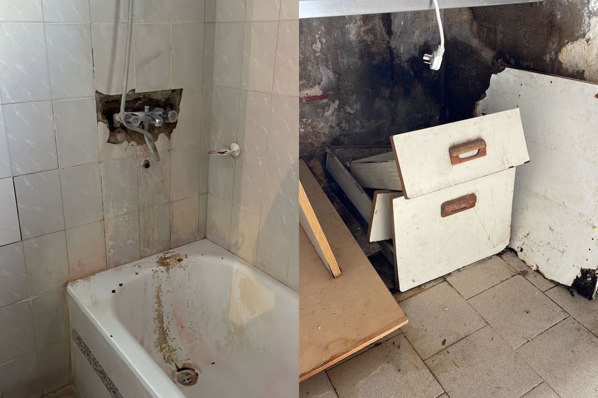 Tras 19 años de alquiler, y una orden judicial para desalojar a la inquilina, la dueña del departamento se encontró con un escenario de terror