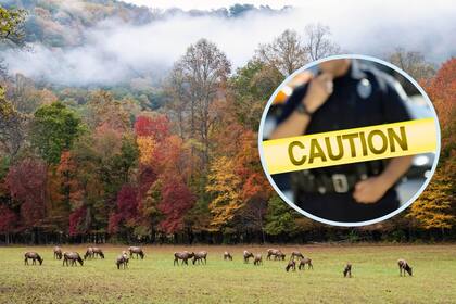 Tras asegurarse de lo que habían encontrado, los cazadores notificaron de inmediato a la Oficina del Sheriff del Condado de Alexander (Canva)