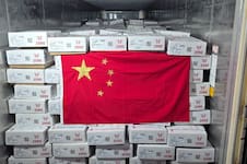 Tras seis años de espera: un frigorífico cordobés exportó por primera vez a China y proyecta aumentar de US$10 a US$40 millones sus ventas