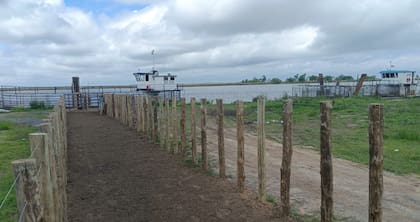 Tras desembarcar, los animales pasan por los corrales antes de ser cargados en camiones que los llevarán a otros campos