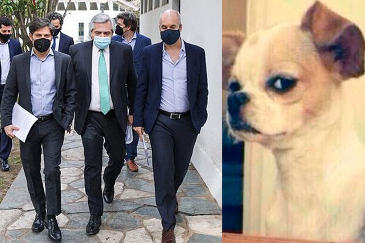 Tras el anuncio muchos usuarios se volcaron a las redes sociales para expresar cuáles son sus sensaciones