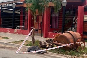 Tras el ataque de dos dogos que le provocaron la muerte a una chica de 15 años, un vecino los mató