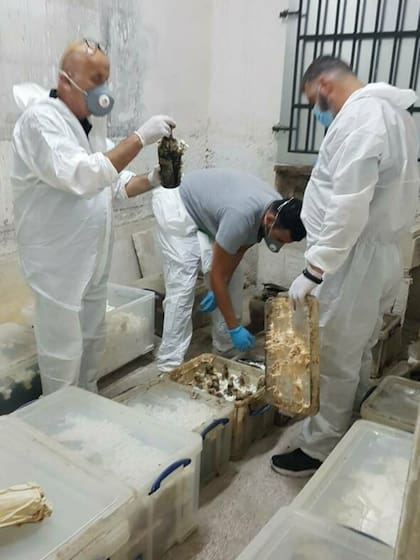 Tras el hallazgo de las botellas, el Ministerio de Cultura griego compartió en redes sociales fotos que reflejan los trabajos de rescate.