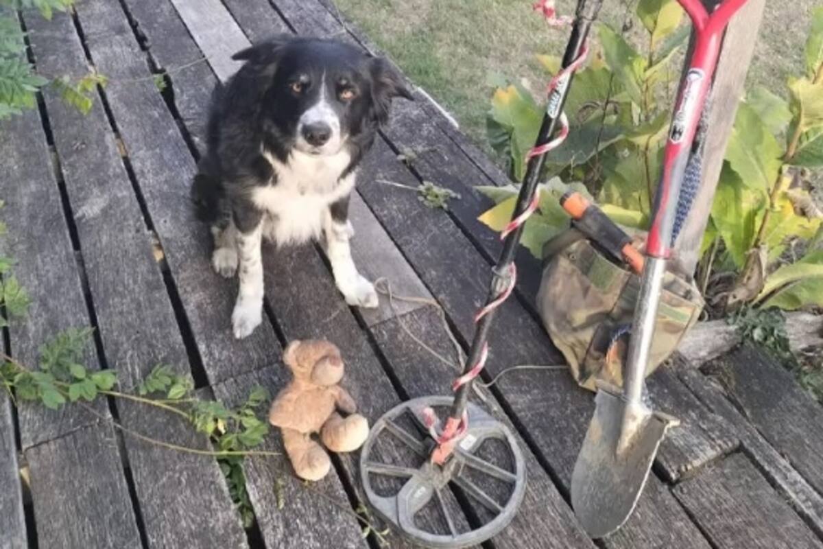 Tras el hallazgo, Nick aseguró que hizo "un baile rápido en la cocina con Badger, mi perro”