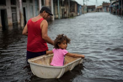 Tras el paso de los huracanes Helene y Milton crecen los casos de Vibrio vulnificus.