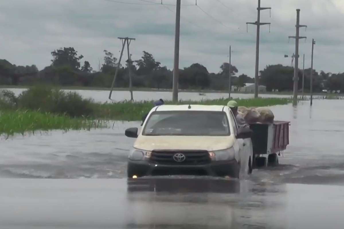 Tras el temporal de agua, en Perugorría, los productores trataron de sacar sus animales de los campos inundados