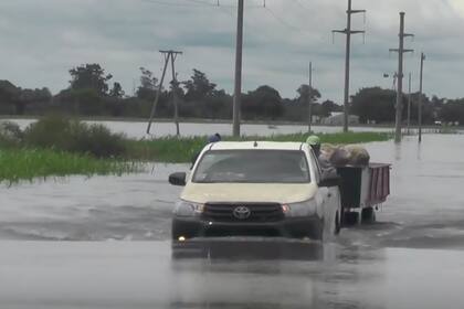 Tras el temporal de agua, en Perugorría, los productores trataron de sacar sus animales de los campos inundados