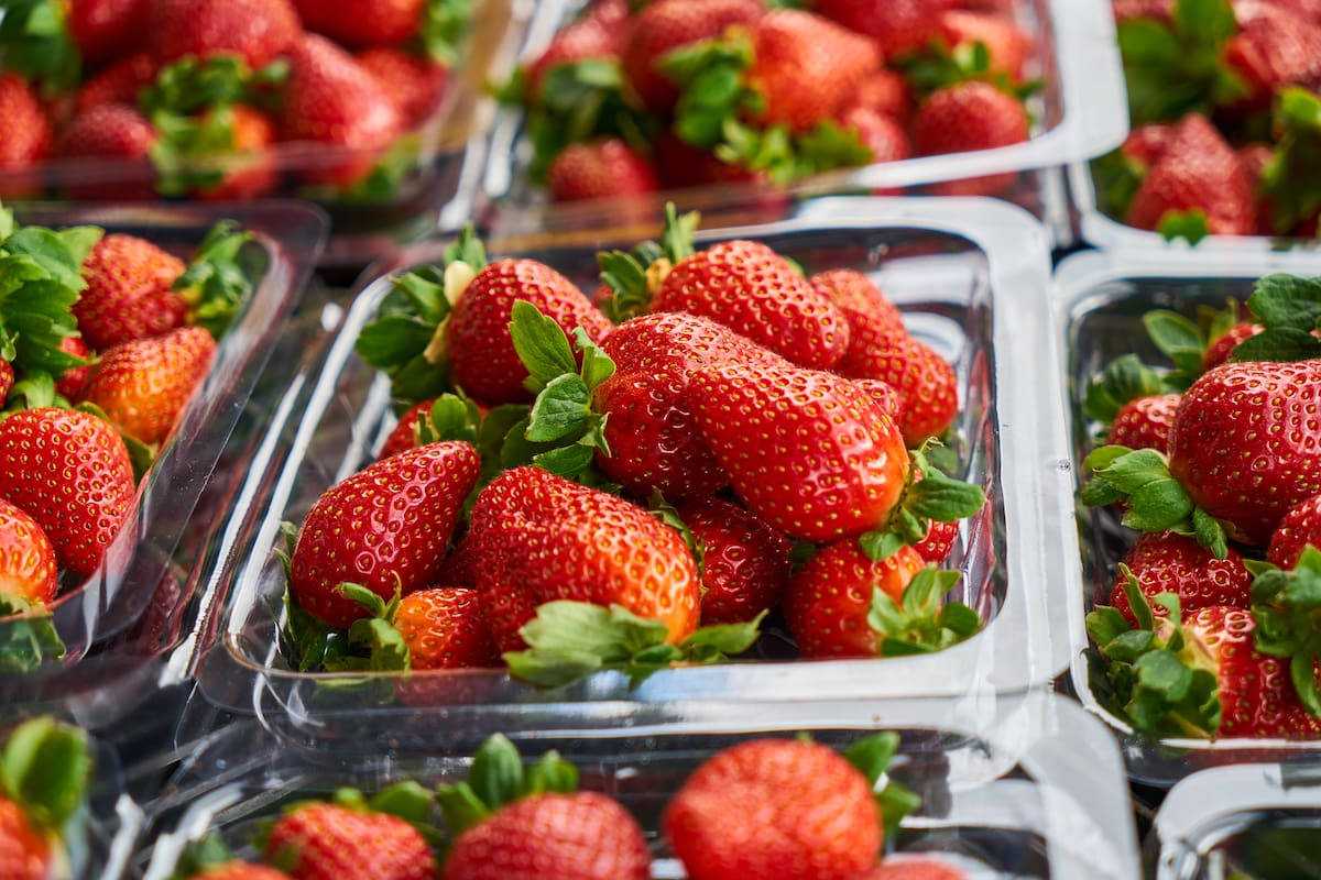 Tras ese breve contacto con el calor, las frutillas deben trasladarse de forma inmediata a un recipiente con agua fría y hielo
