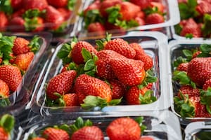 Receta de frutillas duraderas: así se preparan para que aguanten más en la heladera