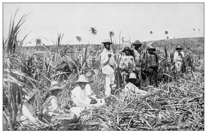 Tras la abolición de la esclavitud, la población negra en Cuba siguió trabajando en las plantaciones de caña de azúcar
