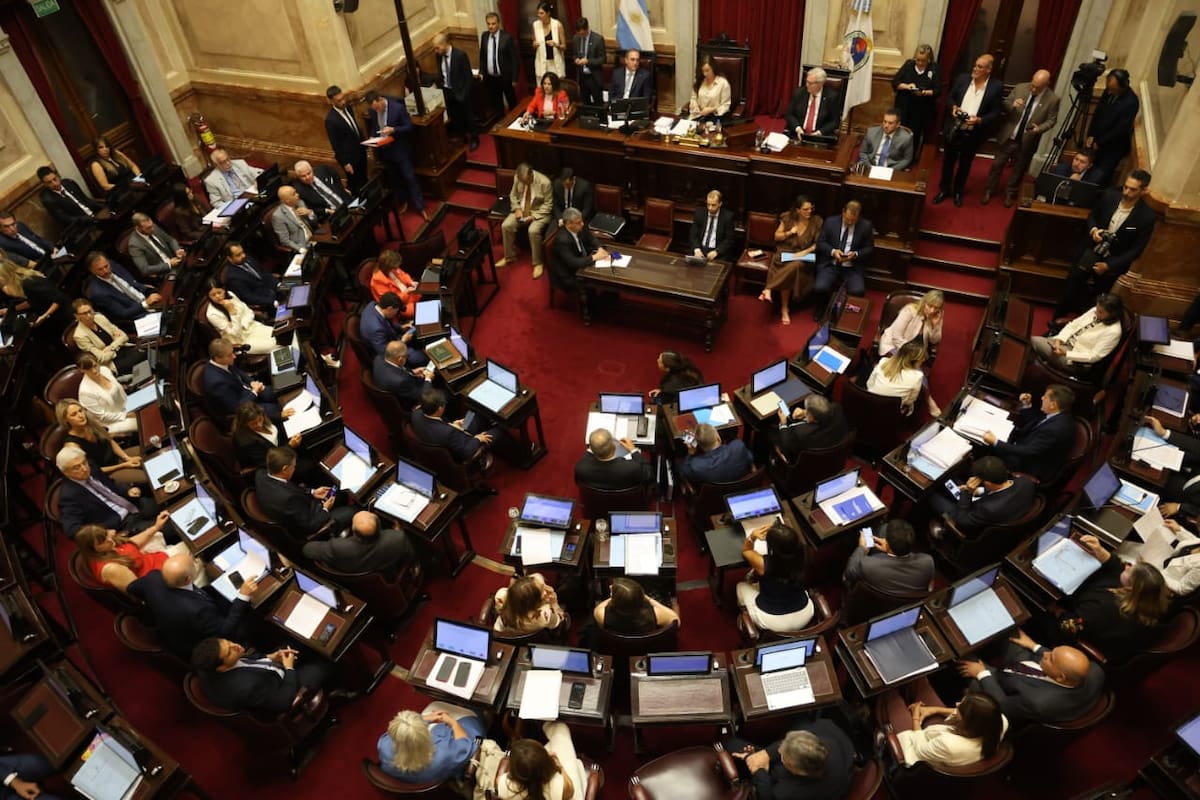 Tras la media Sanción en el Senado la reforma pasó a Diputados
