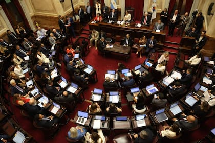 Tras la media Sanción en el Senado la reforma pasó a Diputados