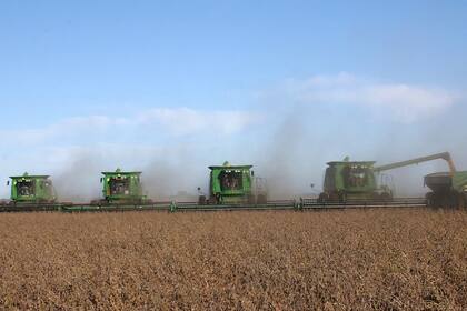 Tras la sequía, la expectativa es lograr una buena cosecha