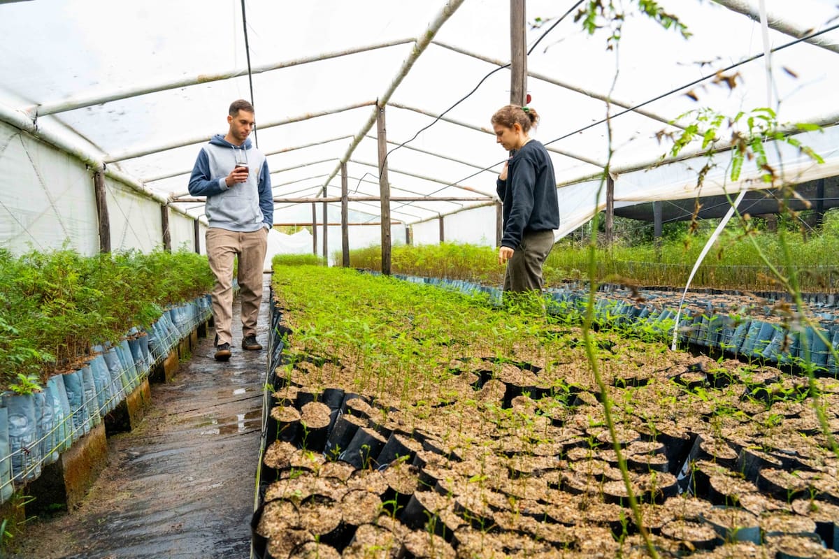 Tras los incendios que azotaron Córdoba en 2020, Ignacio Ricci y Rodrigo Vidales crearon Baum, una plataforma virtual para plantar árboles a distancia