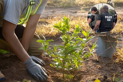 Tras más de 25 años viviendo en Estados Unidos, su vida cambió drásticamente al ser interceptado por agentes de inmigración (Foto ilustrativa).