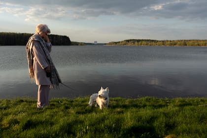 Tras no recibir el apoyo de ningún familiar o amigo, la mujer debió dar en adopción a su perro (imagen ilustrativa)