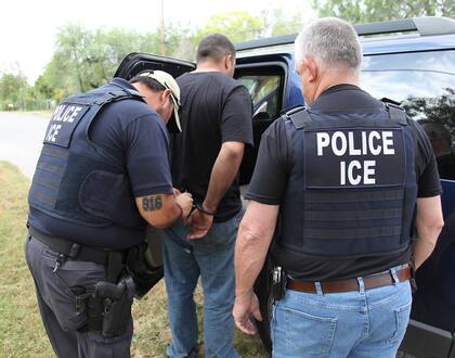 Tras seis horas en la copa del árbol, el migrante se entregó a los agentes del ICE