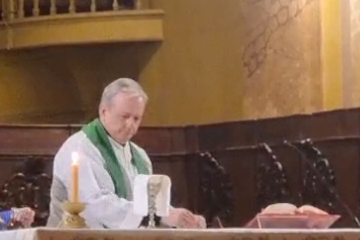 Tras ser apartado del cargo en Villa Carlos Paz, el sacerdote reapareció en una misa en la Catedral de Córdoba