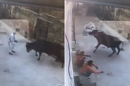 Tras ser golpeado, el toro embistió al hombre