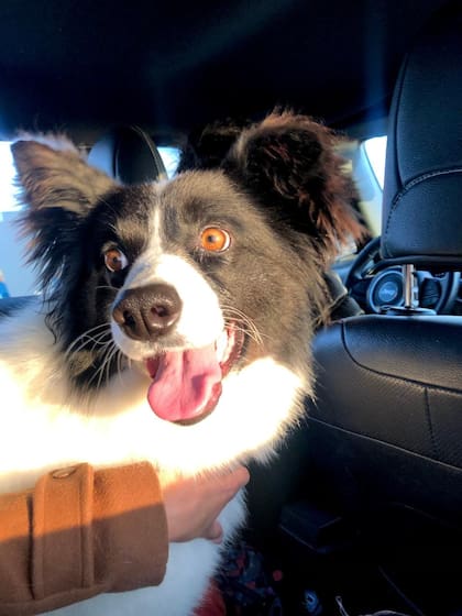 Tras ser rescatada, Lola comenzó una nueva vida junto a Eduardo