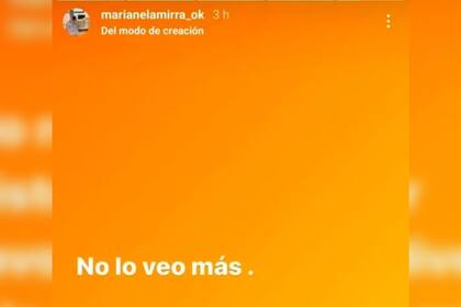 Tras si análisis, tomó una determinación (Foto Instagram @marianelamirra_ok)