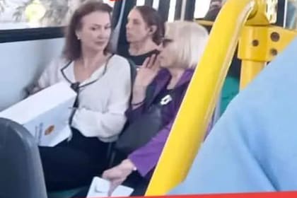 Tras su despido, una foto de Diana Mondino en el colectivo se hizo viral en las redes sociales