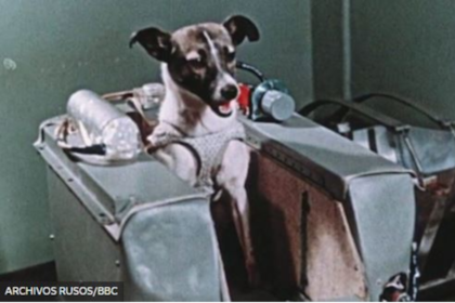 Laika fue el único animal deliberadamente enviado para una muerte segura lejos de la Tierra