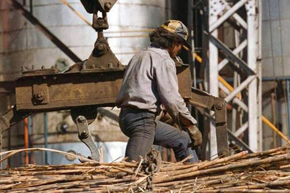 Tras un primer bimestre con datos mensuales desestacionalizados positivos, algunos indicadores reflejan que en marzo el sector habría consolidado su avance