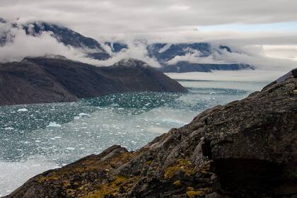 Tras varias expediciones a regiones de Groenlandia, los investigadores lograron recoger muestras fósiles que revelan importantes datos de los ecosistemas del pasado