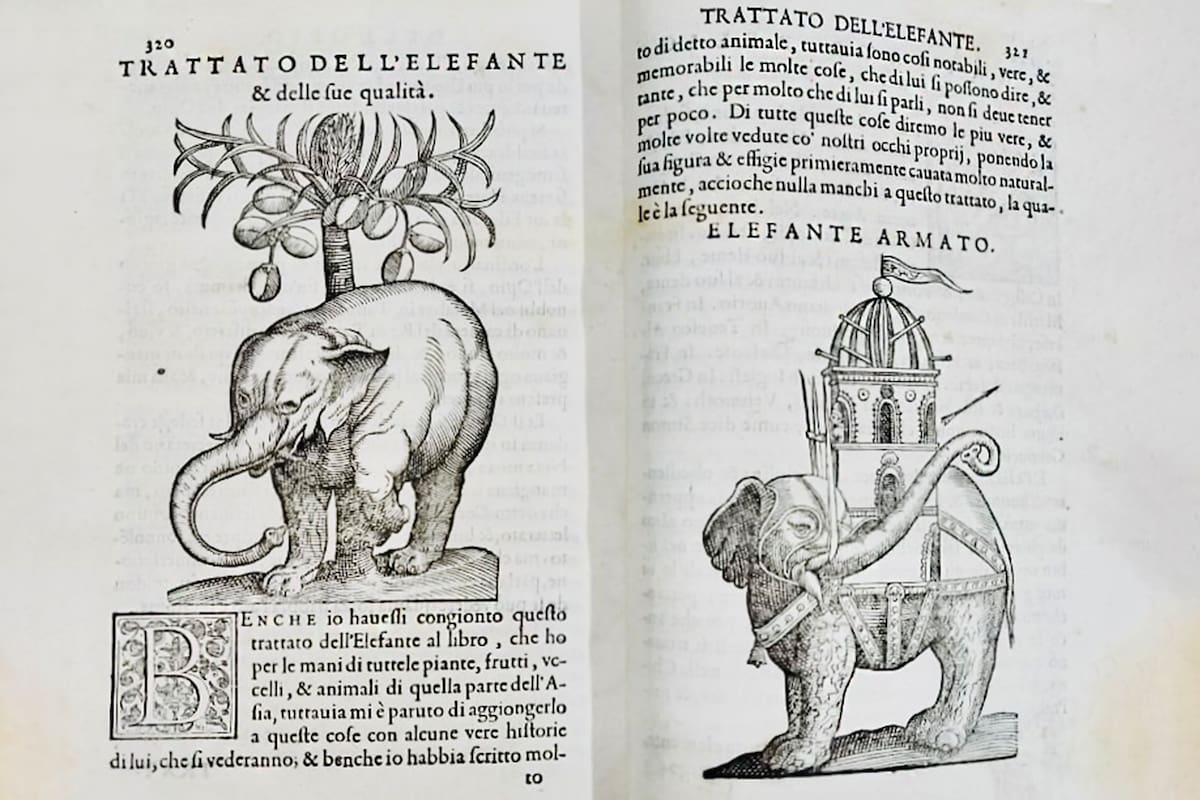 "Tratado del elefante", una de los tesoros que se exhibirán en la Feria del Libro Antiguo