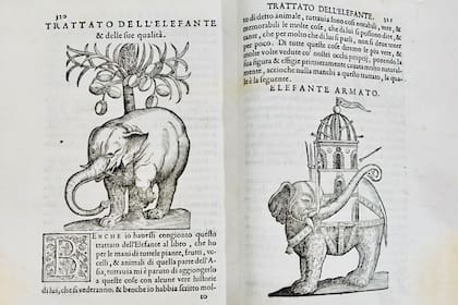 "Tratado del elefante", una de los tesoros que se exhibirán en la Feria del Libro Antiguo