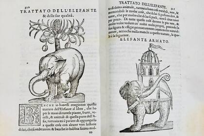 "Tratado del elefante", una de los tesoros que se exhibirán en la Feria del Libro Antiguo