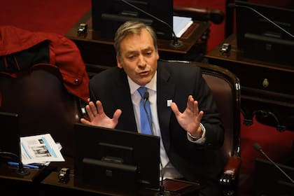 Tratamiento de la ley de tierras en el Senado del Congreso Nacional. - Martín Soria