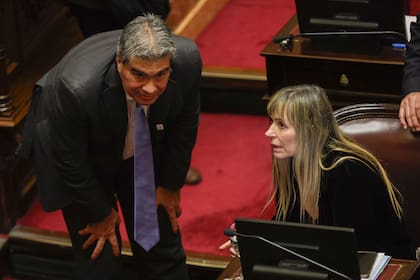 Tratamiento de la ley de tierras en el Senado del Congreso Nacional. - Di Tullio Coki Capitanich
