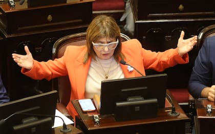 Tratamiento de la reforma laboral en el Senado de la Nación.
Senadora Patricia Bullrich
