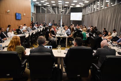 Tratamiento en comisión de la ley ómnibus que contiene al DNU