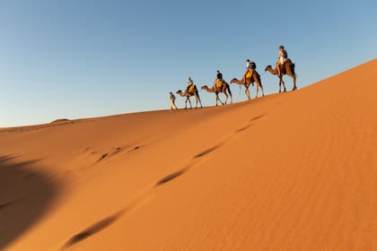 Travesía en dromedario por las dunas de Erg Chebbi al atardecer.