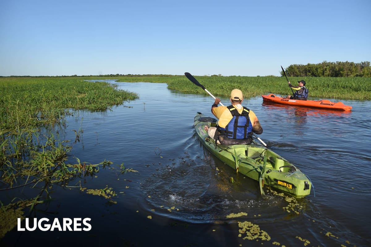 Travesía en kayak entre esteros, fauna nativa y nuevas islas.