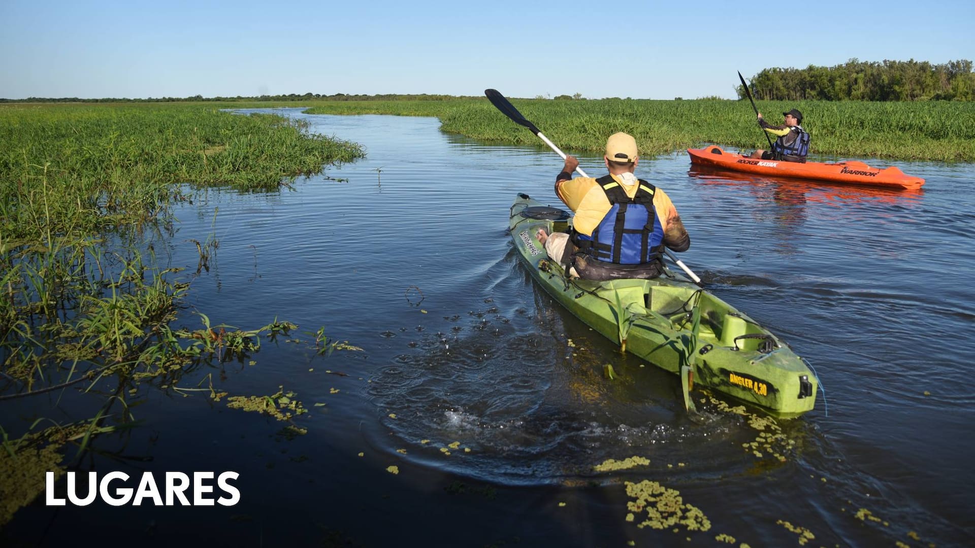 Travesía en kayak entre esteros, fauna nativa y nuevas islas.