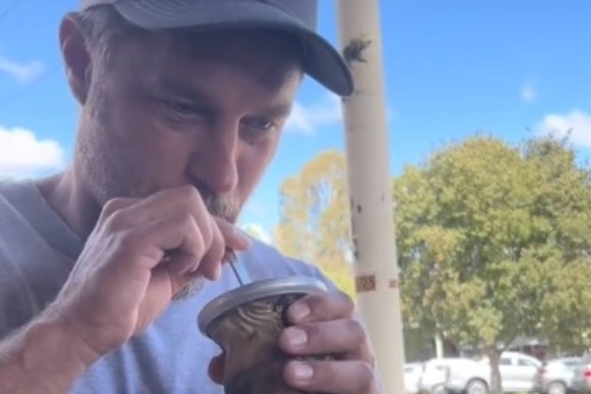 Travis Fimmel se animó a probar el mate que le convidaron unos rioplatenses y luego dio su veredicto respecto de la infusión.