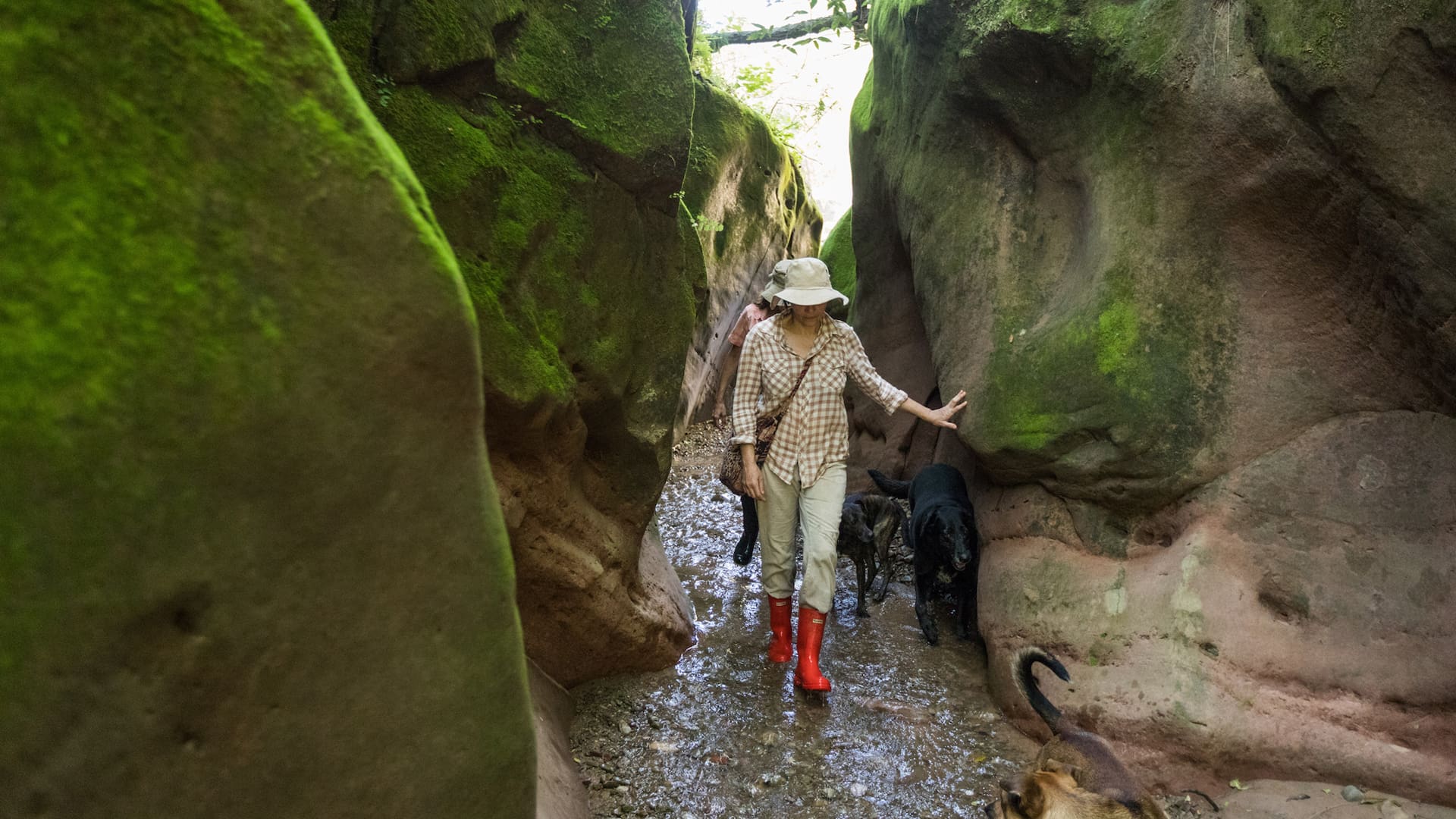 Trekking a Los Manzanos.