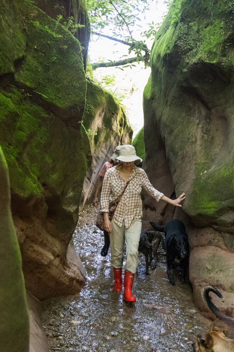 Trekking a Los Manzanos.