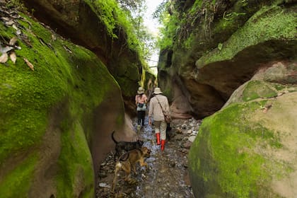 Trekking a Los Manzanos, dentro de Aldea Luna.