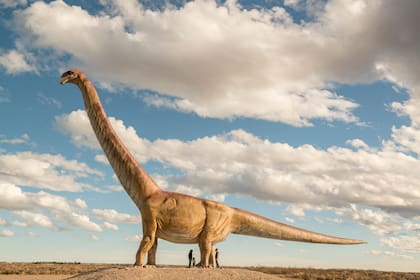 Trelew, Chubut. Es la réplica a escala real del titanosaurio, el hervíboro más grande del mundo (mide 40 metros y pesa 15 toneladas) hallado en una estancia de la zona, en la entrada a la ciudad. Su fémur se expone en el MEF, Museo paleontológico Egidio Feruglio.