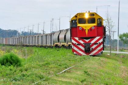 Tren Belgrano Carga