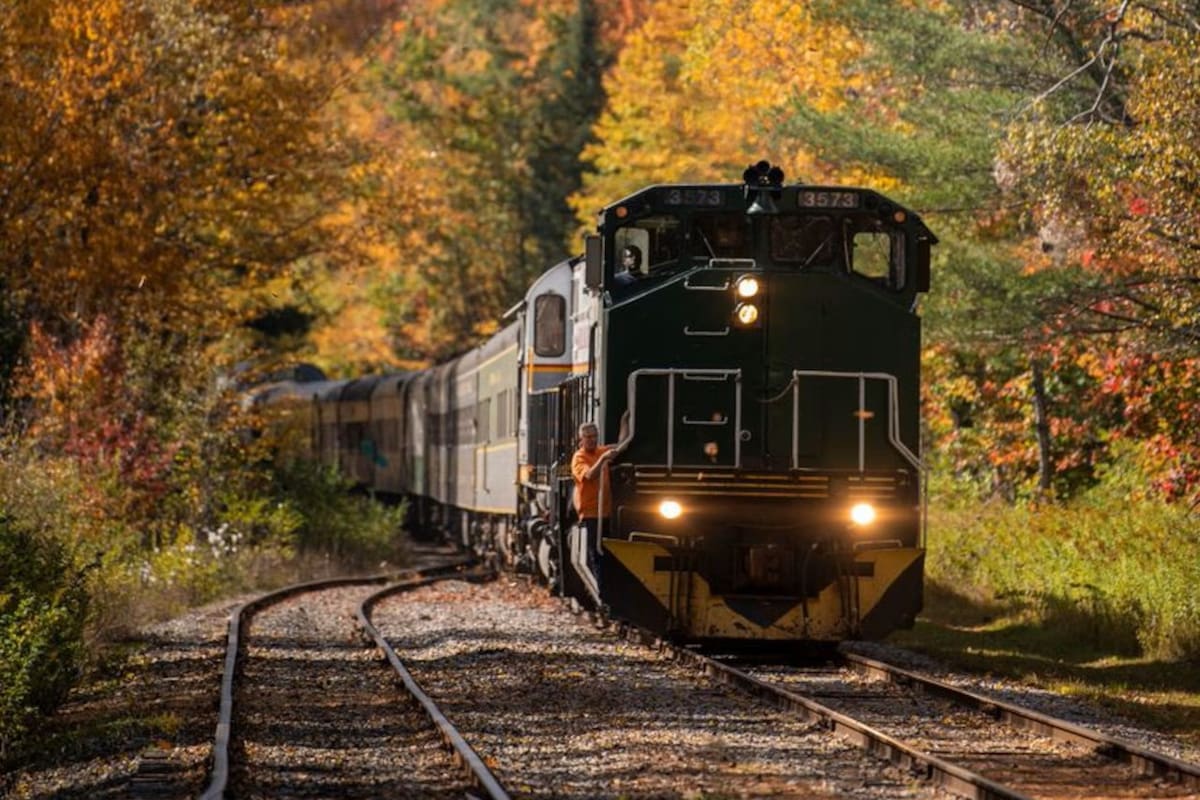 Tren en Nueva York reabre tras cinco años de cierre y ofrece recorrido para admirar el paisaje otoñal (@c_and_d_advertising/John Latini)
