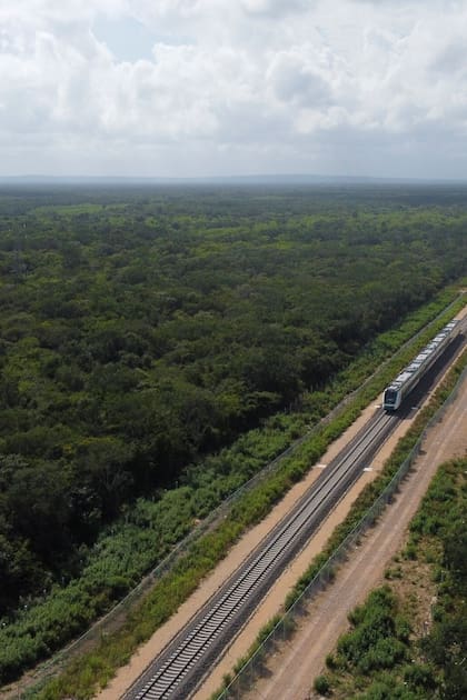 Tren Maya: el proyecto final contempla un trayecto de 1500 kilómetros por la Península de Yucatán