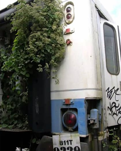 Trenes abandonados